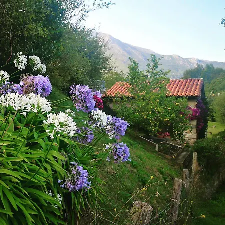 Camparina Lägenhet Llanes